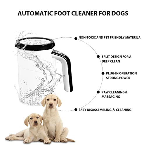 Paw Fresh Clean