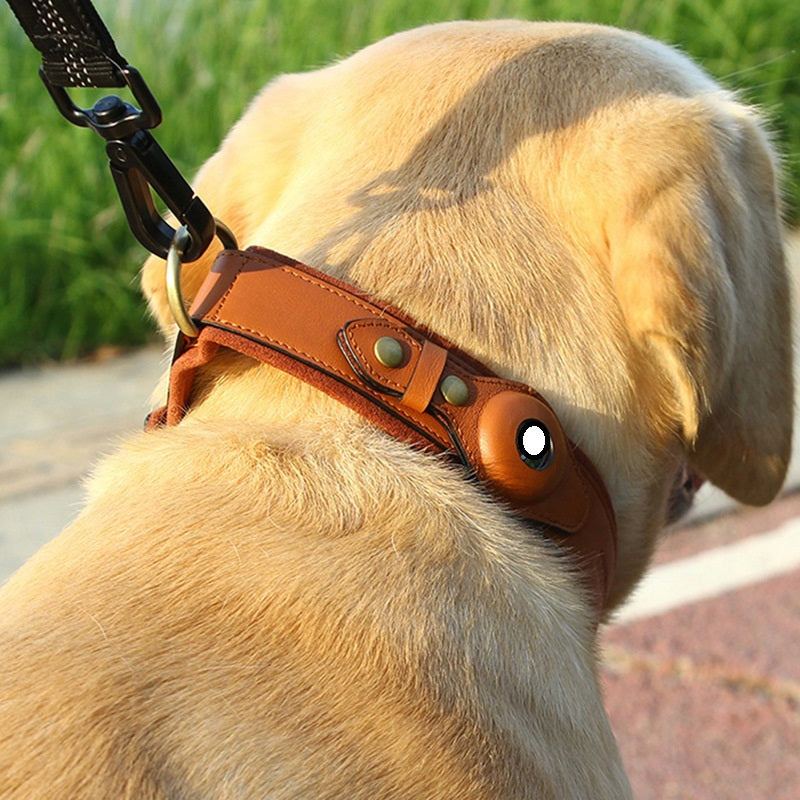 PetTrack™ AirTag Collar