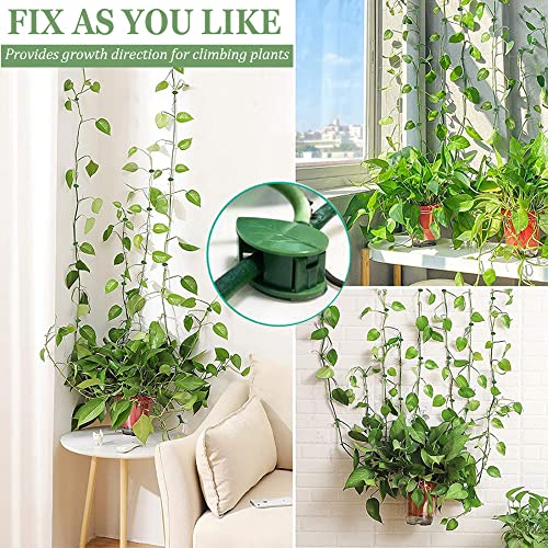 Self-Adhesive Plant Clip
