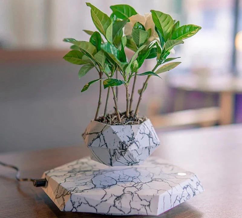 Levitating Plant Pot marble