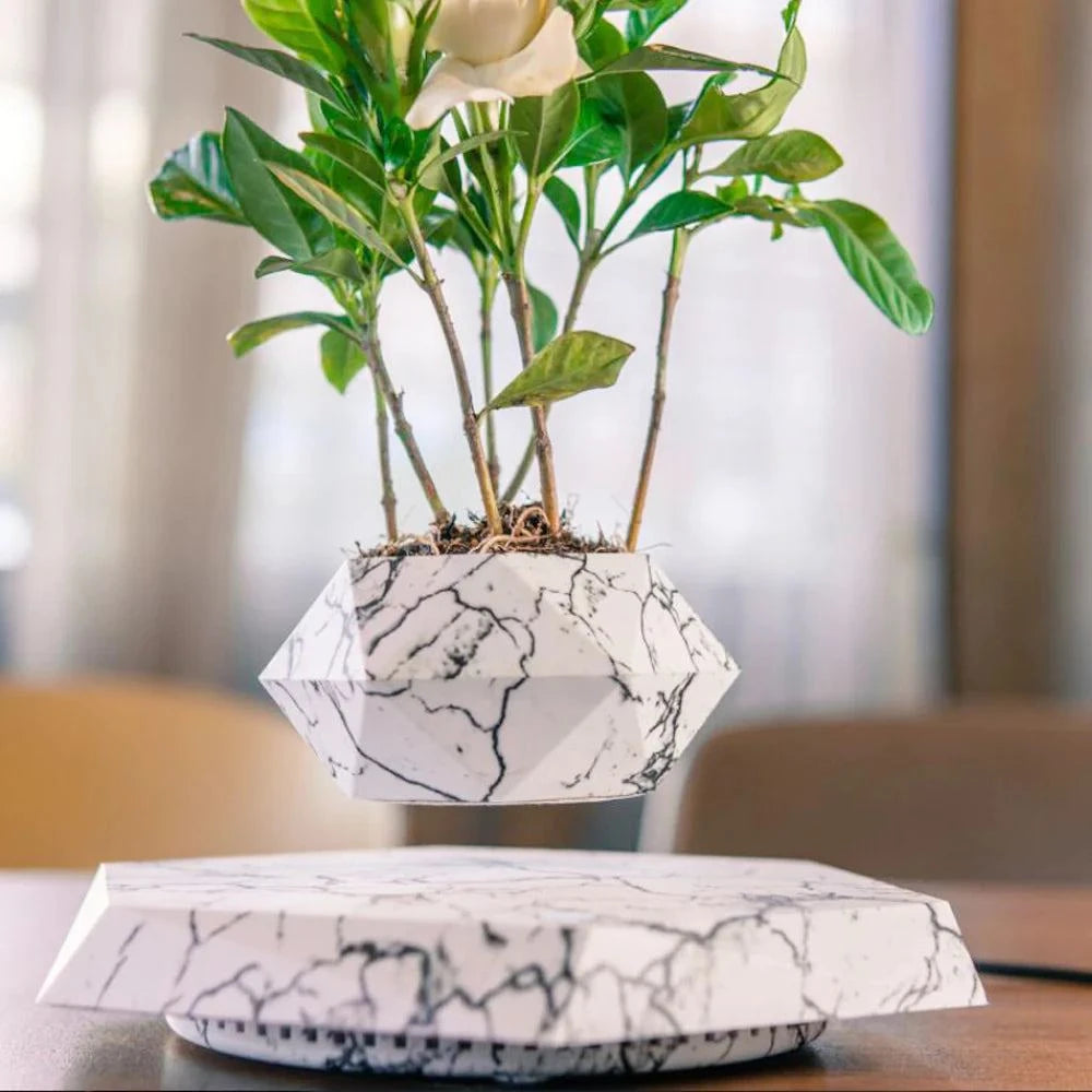 Levitating Plant Pot offer