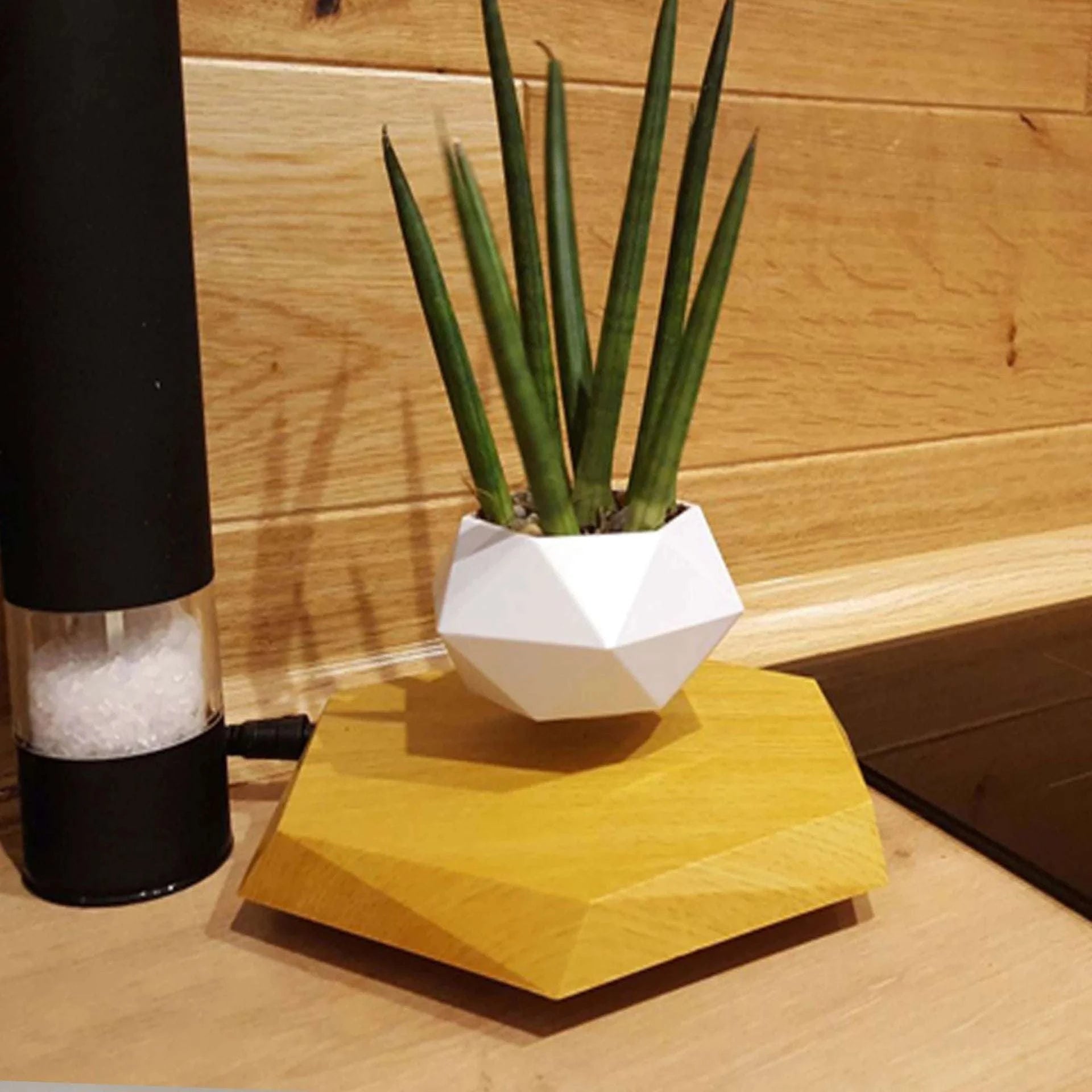 Levitating Plant Pot white
