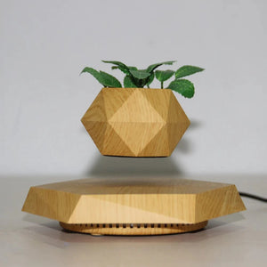 Levitating Plant Pot wood