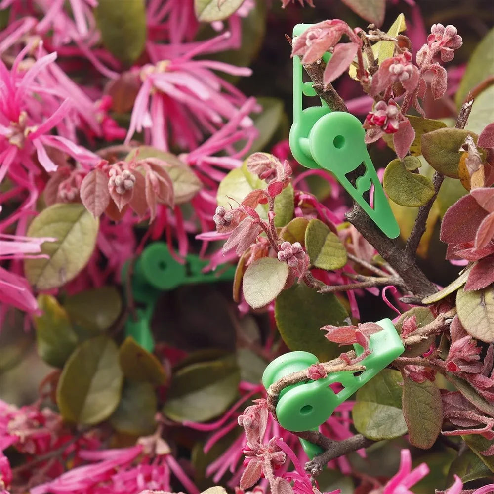 Adjustable Plant Holding Clips