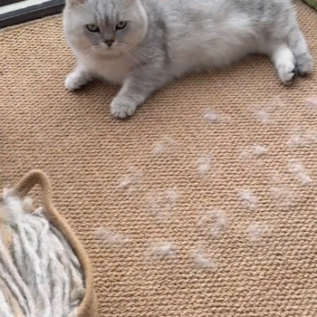 PawPerfect-Fur Remover Glove