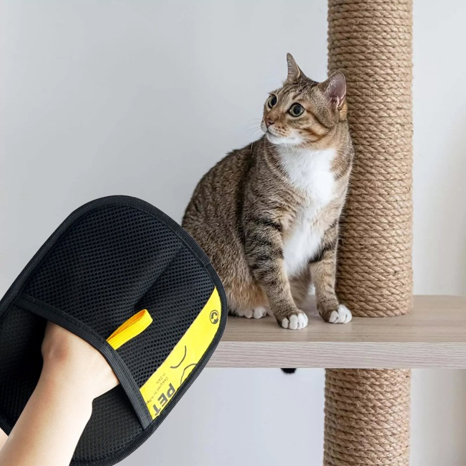 PawPerfect-Fur Remover Glove